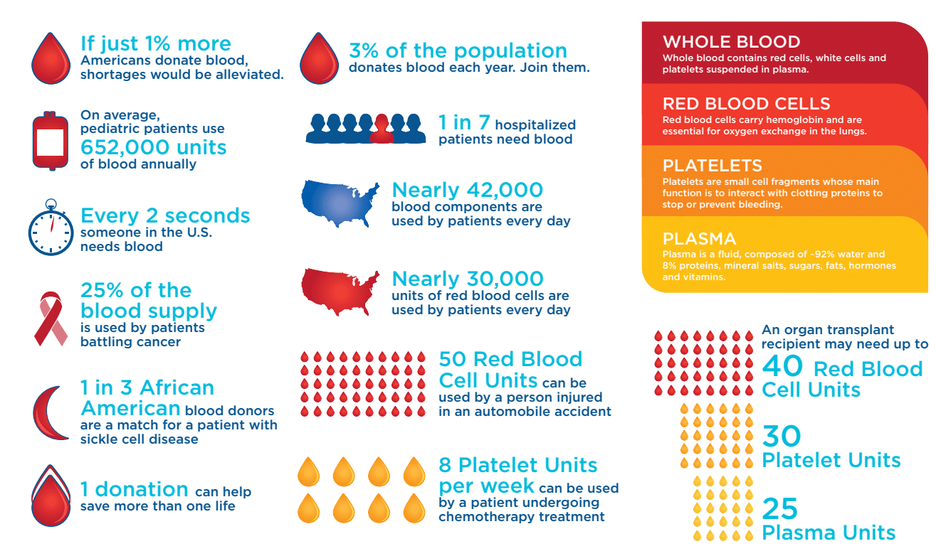 Stats Infographic